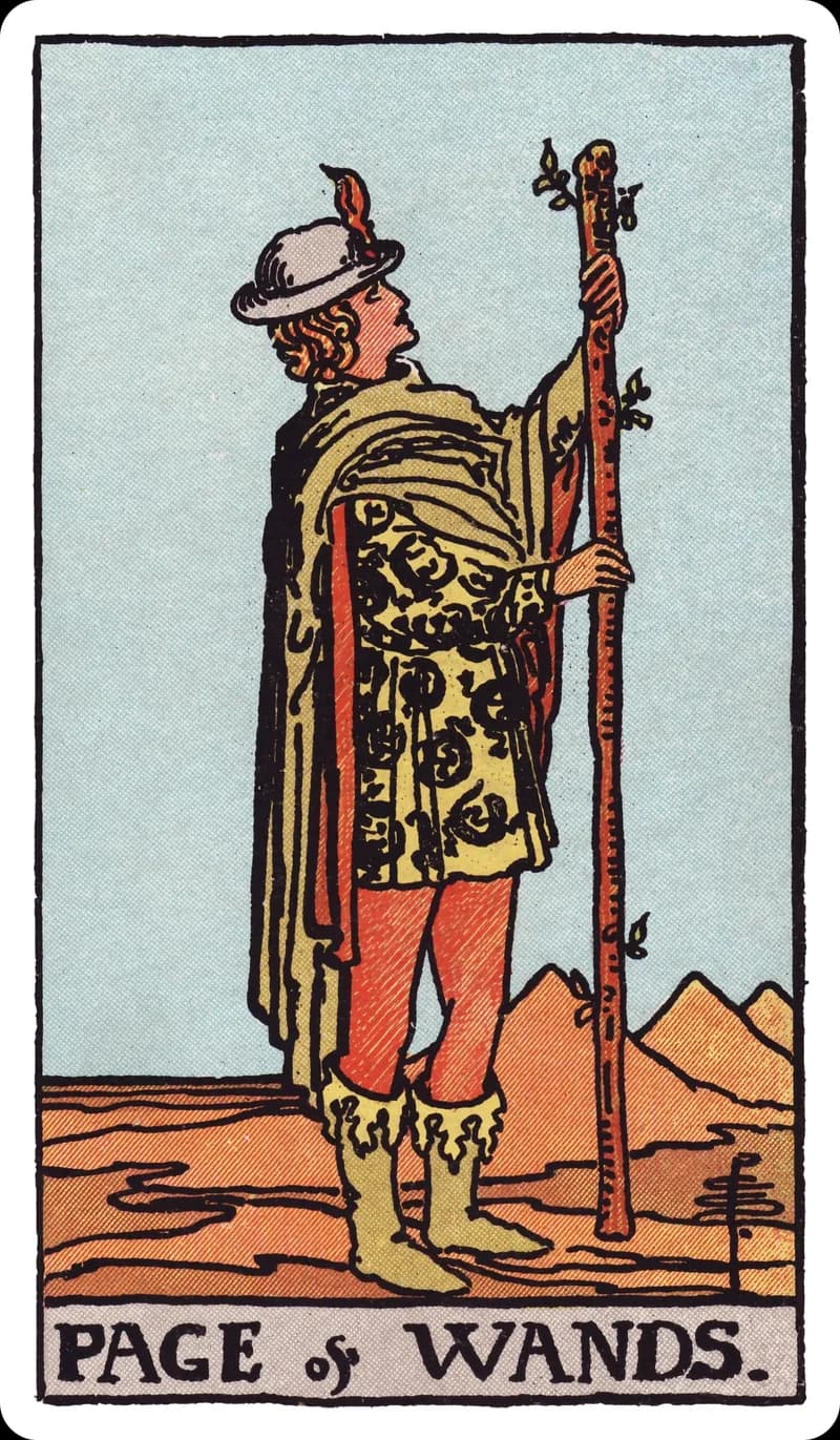 Pajem de Paus